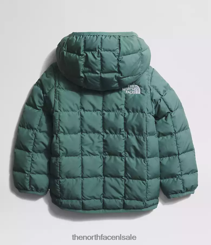 Baby omkeerbaar thermoballjack met capuchon The North Face P464ZN636 kleding donkere salie