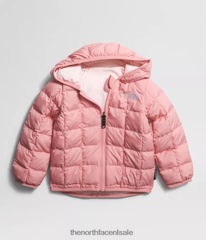 Baby omkeerbaar thermoballjack met capuchon The North Face P464ZN637 kleding schaduwrijke roos