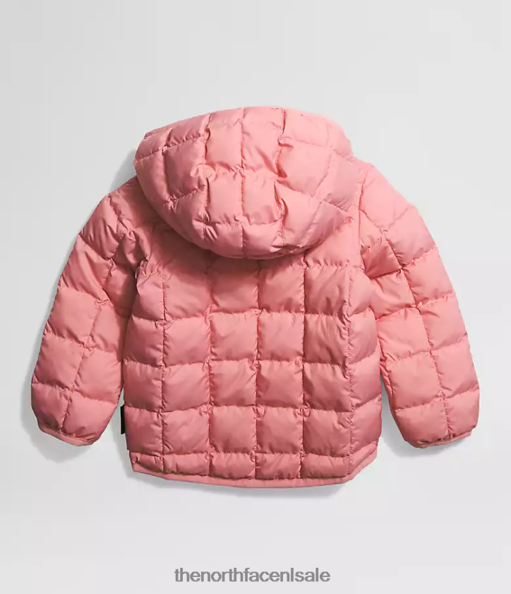 Baby omkeerbaar thermoballjack met capuchon The North Face P464ZN637 kleding schaduwrijke roos