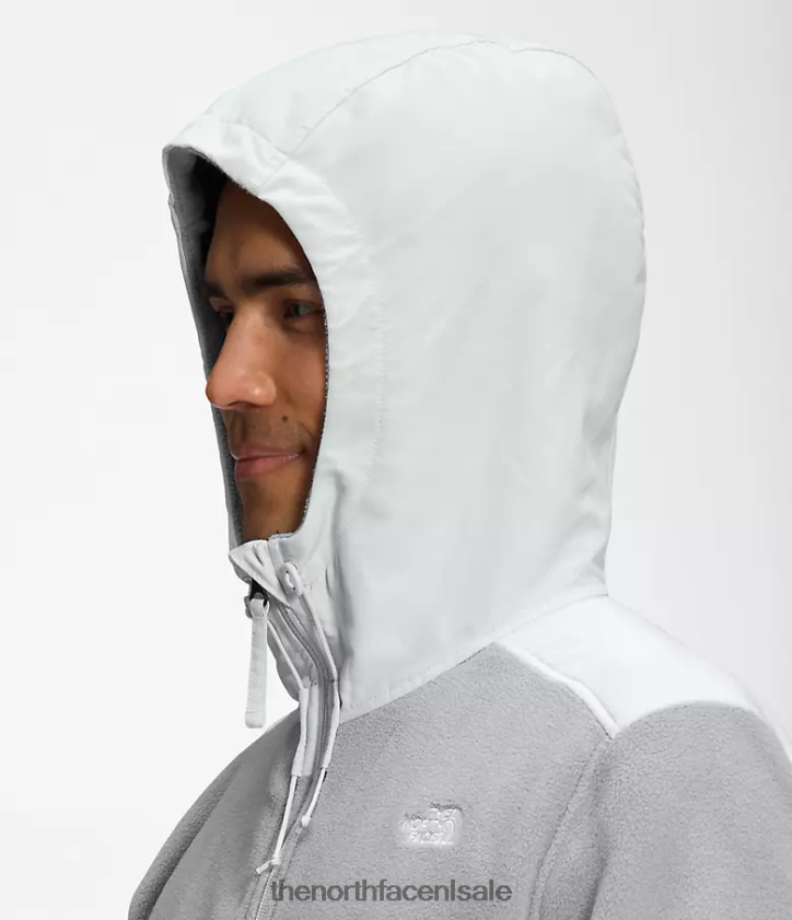 Heren Alpine Polartec 200 jack met capuchon en volledige ritssluiting The North Face P464ZN831 kleding smeltgrijs/tingrijs