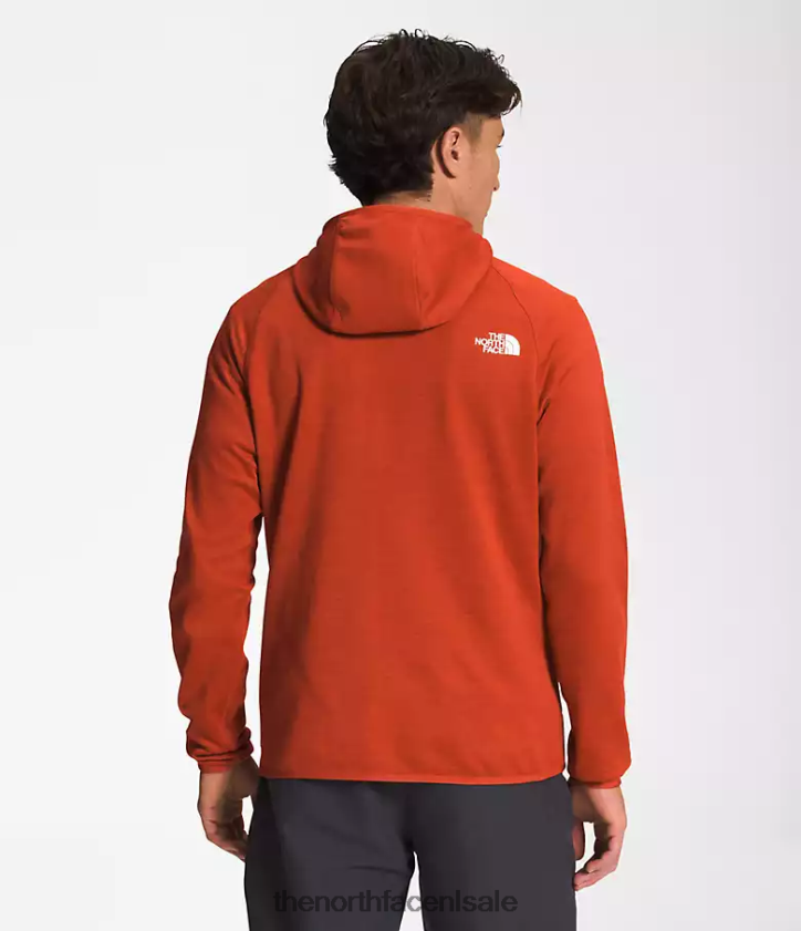 Heren Canyonlands-hoodie The North Face P464ZN925 kleding verroeste bronzen heide