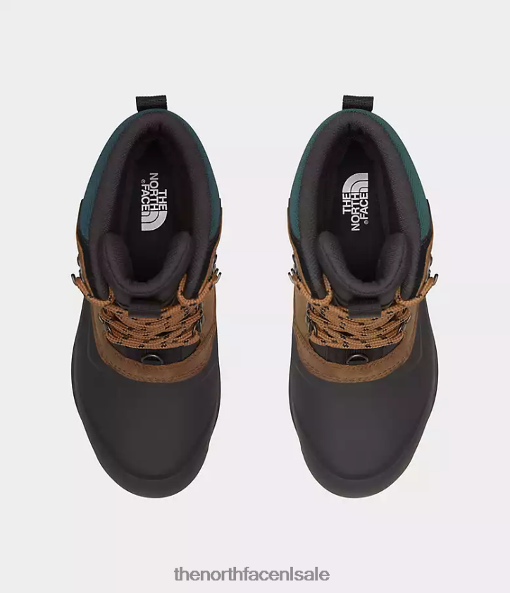 Heren Chilkat V 400 waterdichte laarzen The North Face P464ZN1267 schoenen geroosterd bruin/tnf zwart