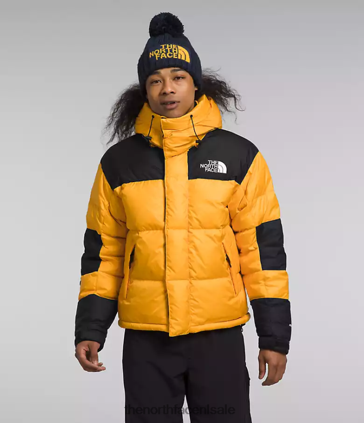 Heren Hmlyn Baltoro jas The North Face P464ZN1004 kleding top goud/tnf zwart