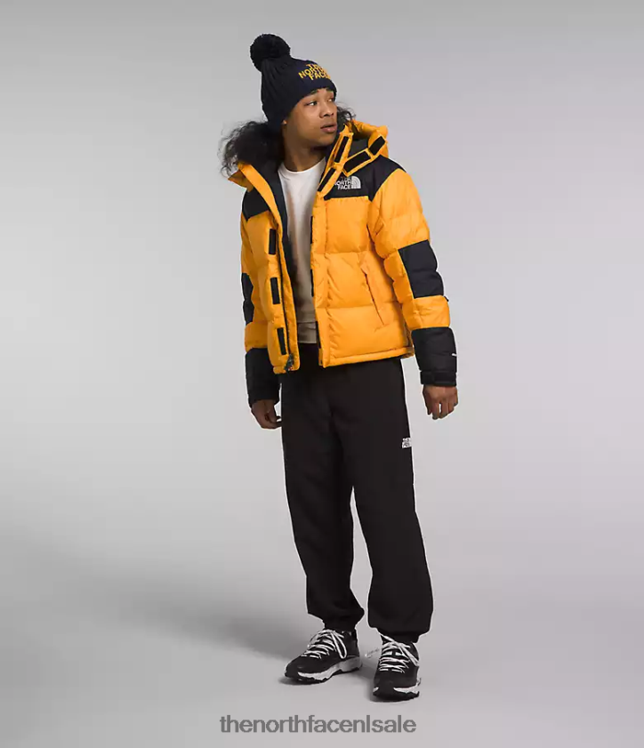 Heren Hmlyn Baltoro jas The North Face P464ZN1004 kleding top goud/tnf zwart