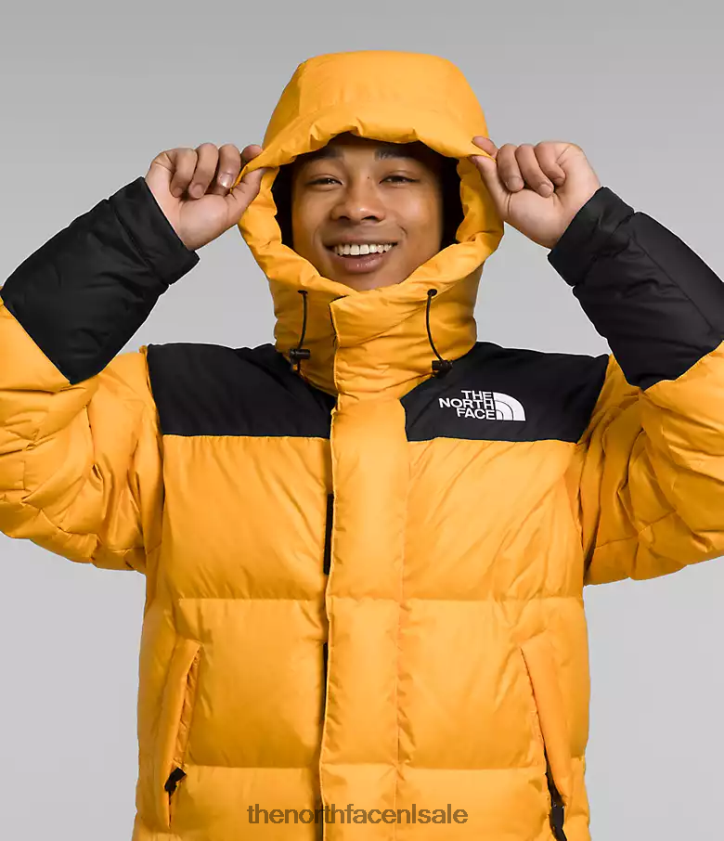Heren Hmlyn Baltoro jas The North Face P464ZN1004 kleding top goud/tnf zwart