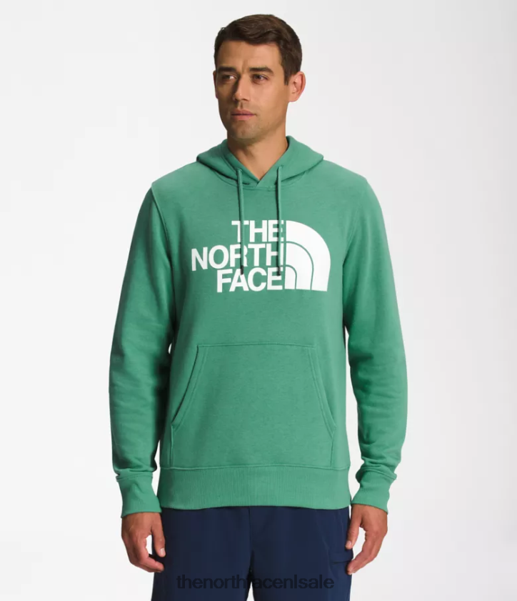 Heren Pullover-hoodie met halve koepel The North Face P464ZN109 kleding diep grasgroen/tnf wit