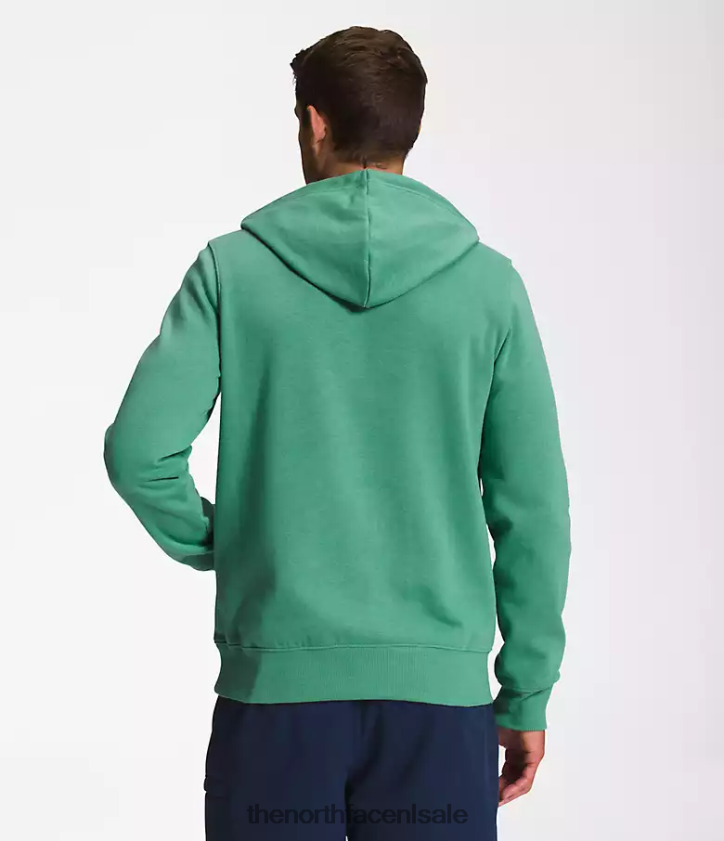 Heren Pullover-hoodie met halve koepel The North Face P464ZN109 kleding diep grasgroen/tnf wit