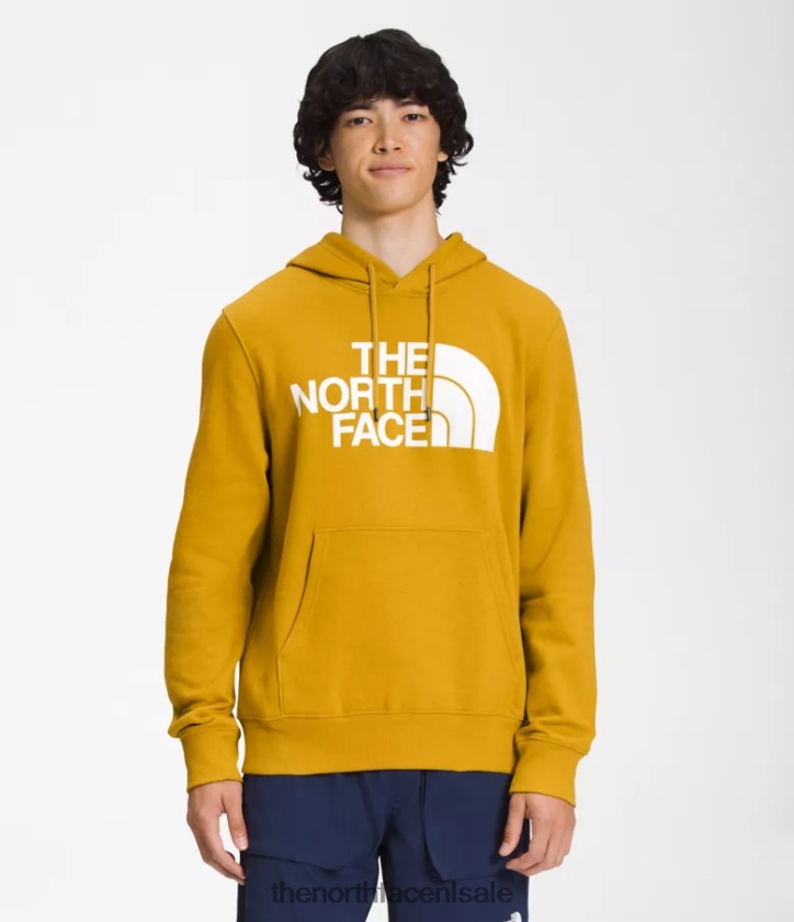 Heren Pullover-hoodie met halve koepel The North Face P464ZN114 kleding pijlhout geel