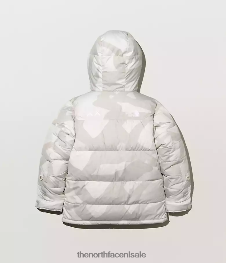 Heren Tnf x Kaws retro Himalaya parka uit 1994 The North Face P464ZN143 kleding kw maanlicht ivoor hym print