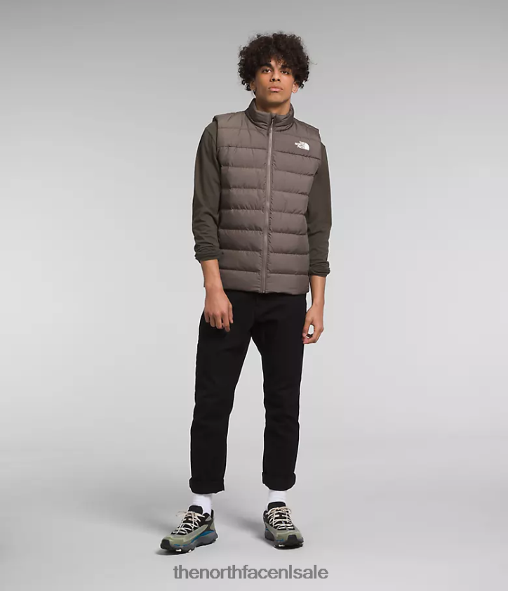 Heren aconcagua 3-vest The North Face P464ZN992 kleding valk bruin
