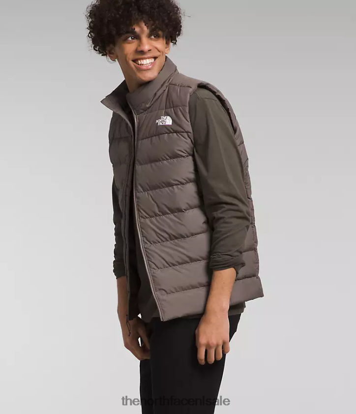 Heren aconcagua 3-vest The North Face P464ZN992 kleding valk bruin