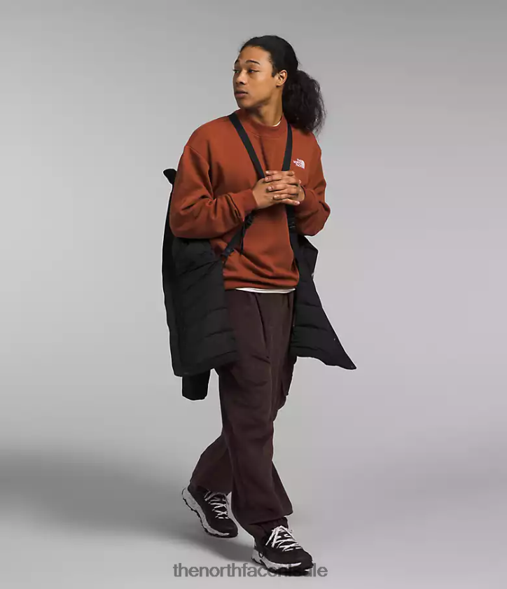 Heren arctische parka premium The North Face P464ZN94 kleding tn zwart