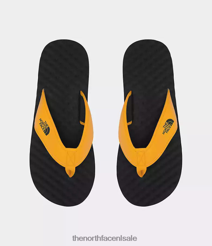 Heren basiskamp-slippers ii The North Face P464ZN496 schoenen top goud/tnf zwart