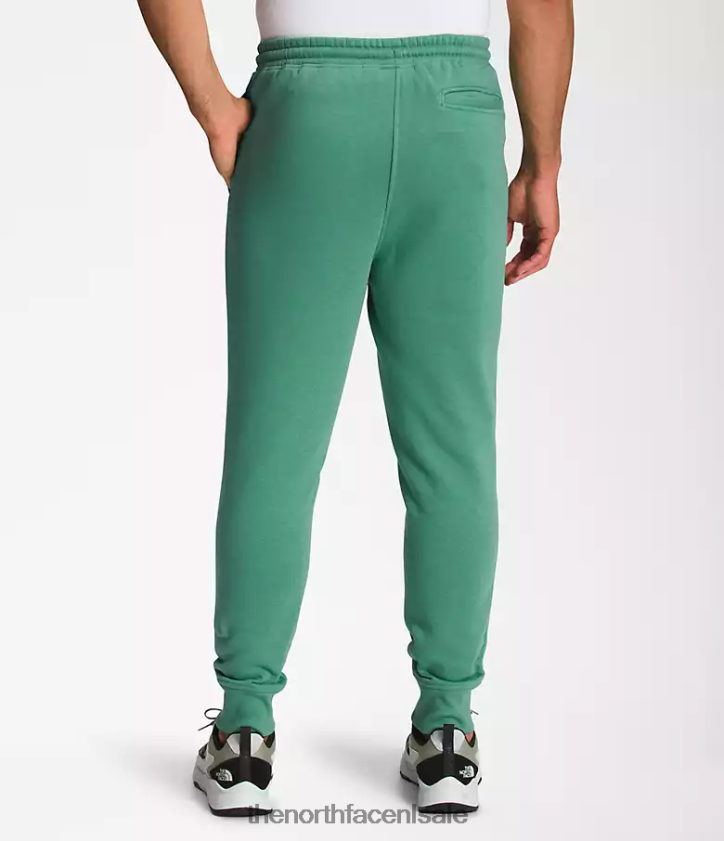 Heren box nse joggers The North Face P464ZN1041 kleding diep grasgroen/tnf zwart