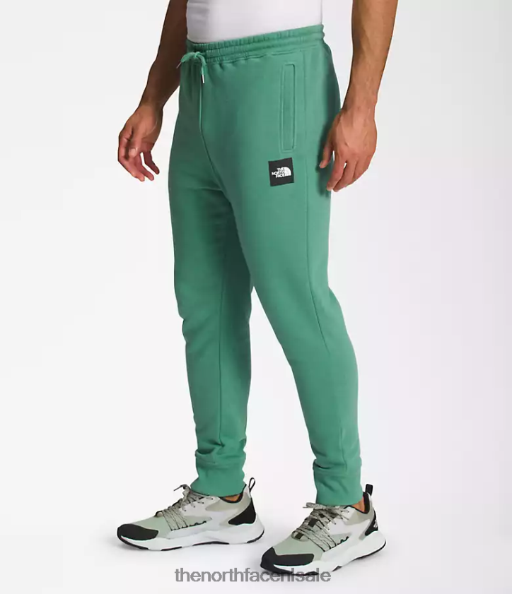 Heren box nse joggers The North Face P464ZN1041 kleding diep grasgroen/tnf zwart