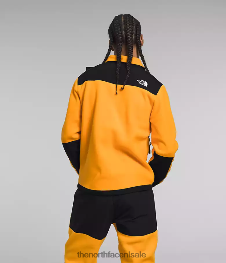 Heren denali jas The North Face P464ZN193 kleding top goud/tnf zwart