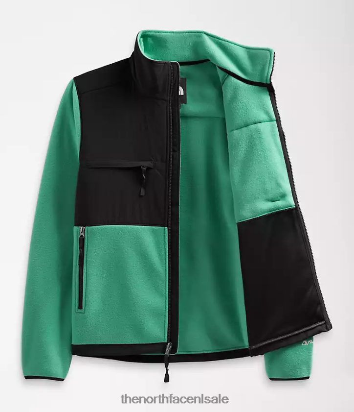 Heren denali jas The North Face P464ZN197 kleding diep grasgroen