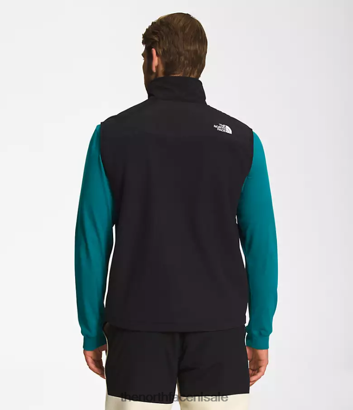 Heren denali-vest The North Face P464ZN598 kleding tn zwart