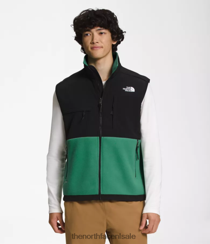 Heren denali-vest The North Face P464ZN601 kleding diep grasgroen
