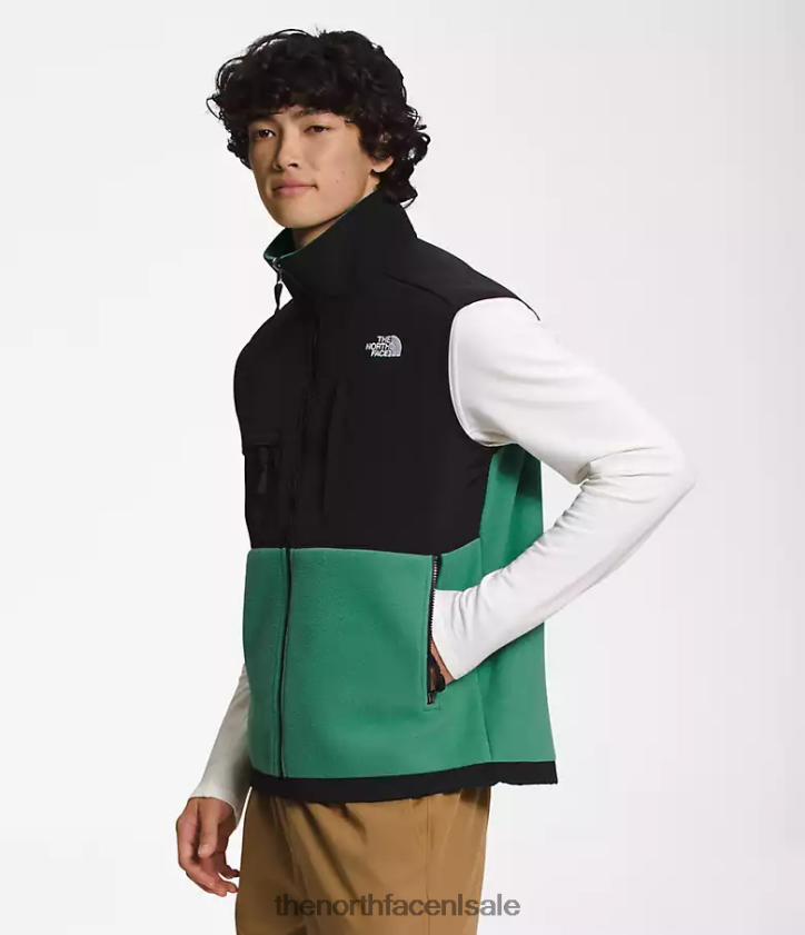 Heren denali-vest The North Face P464ZN601 kleding diep grasgroen