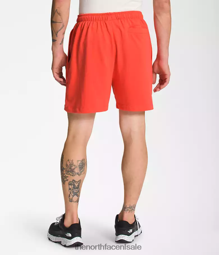 Heren eenvoudige fleeceshort met logo The North Face P464ZN360 kleding retro-oranje