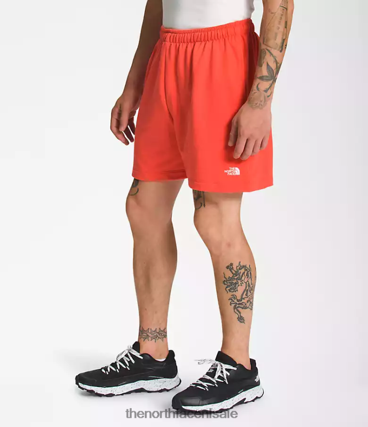 Heren eenvoudige fleeceshort met logo The North Face P464ZN360 kleding retro-oranje