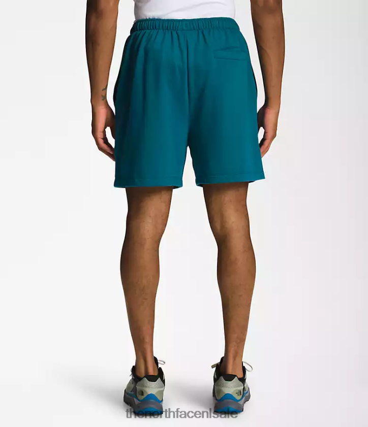 Heren eenvoudige fleeceshort met logo The North Face P464ZN362 kleding blauw koraal