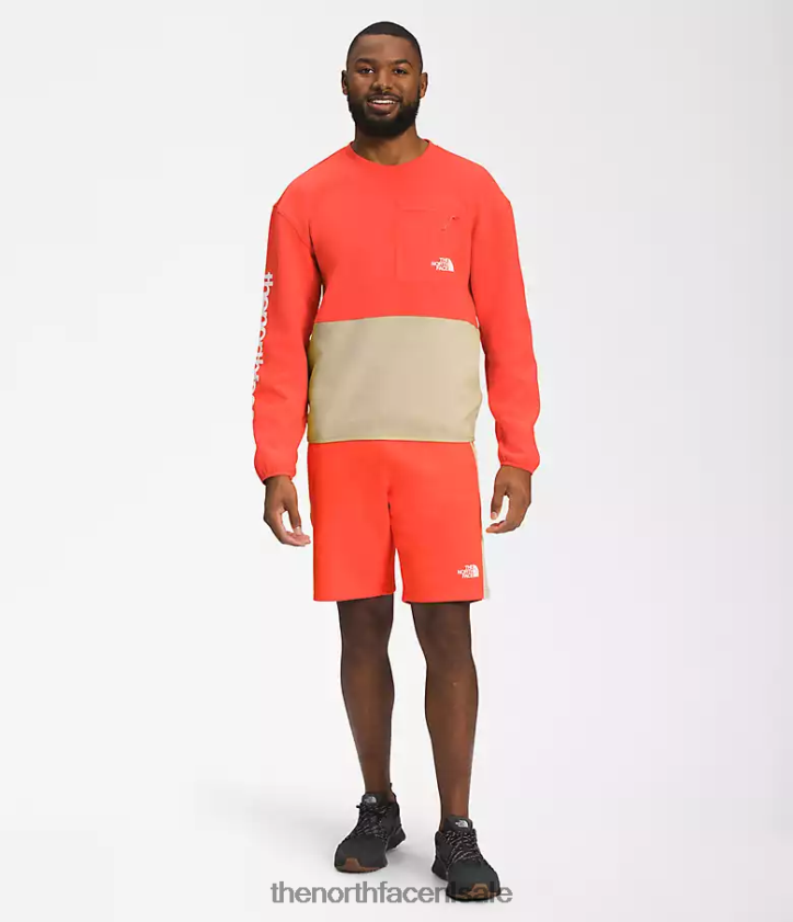 Heren tnf tech-ploeg The North Face P464ZN603 kleding grind/retro oranje