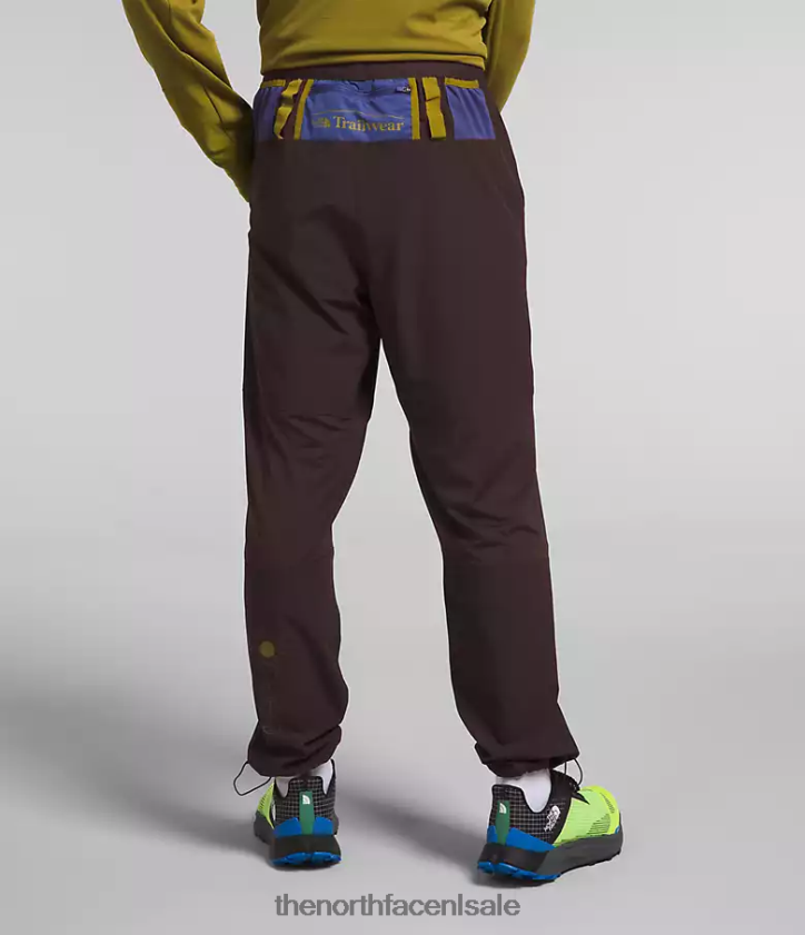 Heren trailwear okt-joggingbroek The North Face P464ZN216 kleding steenkool bruin