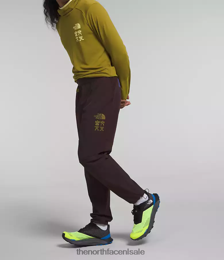 Heren trailwear okt-joggingbroek The North Face P464ZN216 kleding steenkool bruin