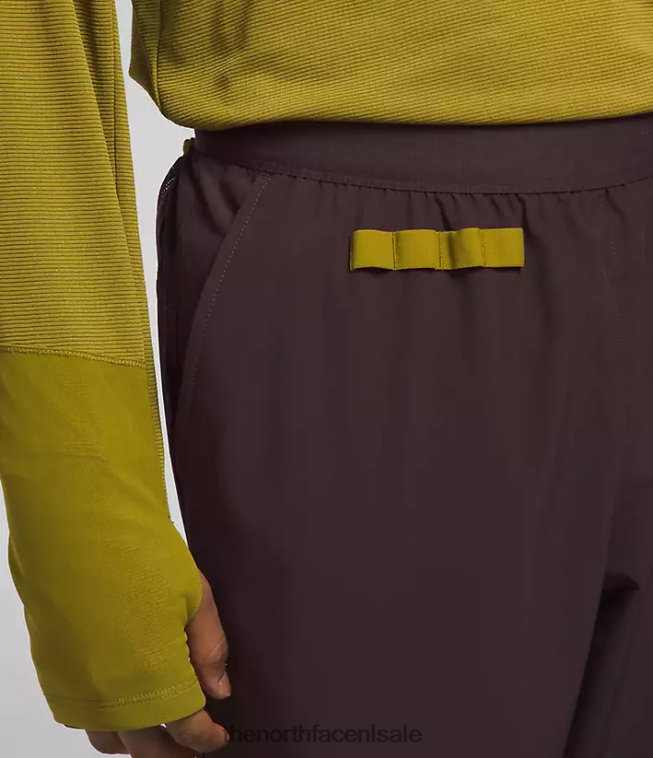 Heren trailwear okt-joggingbroek The North Face P464ZN216 kleding steenkool bruin