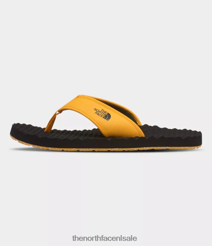 Heren basiskamp-slippers ii The North Face P464ZN496 schoenen top goud/tnf zwart