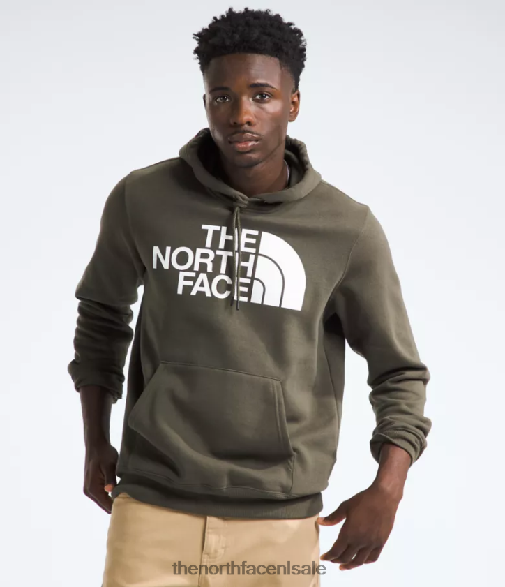 Heren Pullover-hoodie met halve koepel The North Face P464ZN113 kleding nieuw taupegroen