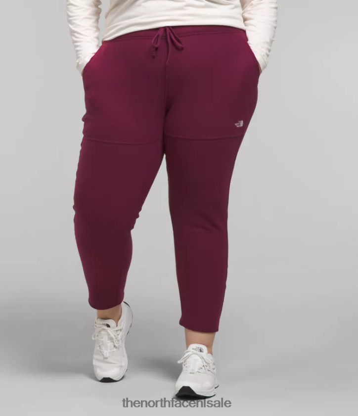 vrouwen plus alpine polartec 100 broek The North Face P464ZN251 kleding jongensbes