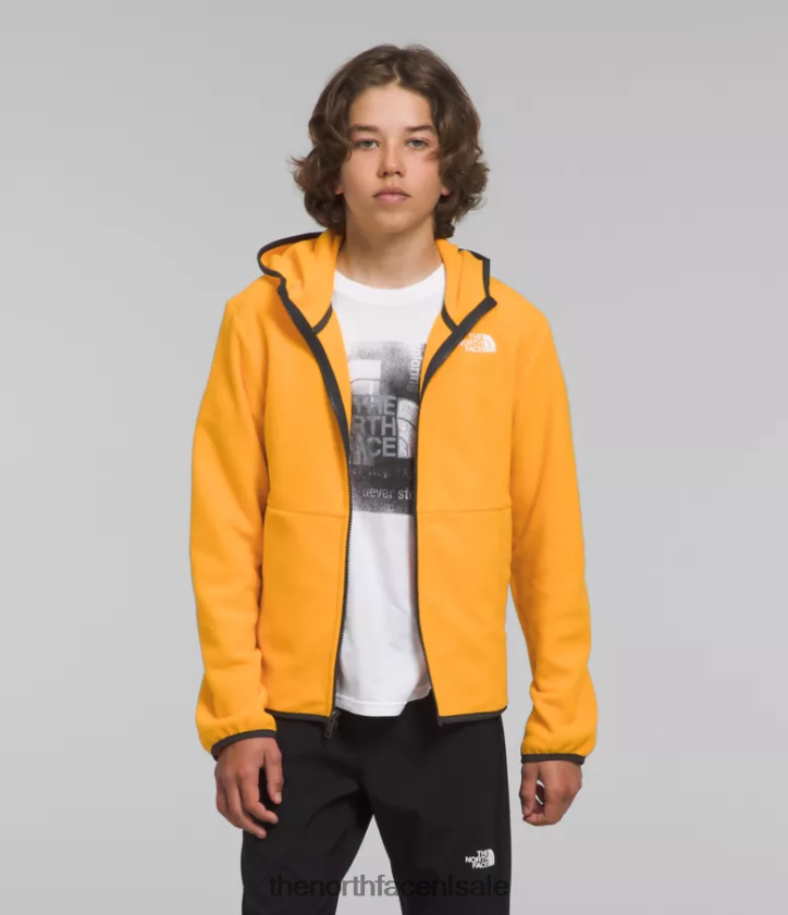 kinderen Gletsjerjack met capuchon en volledige ritssluiting The North Face P464ZN948 kleding top goud
