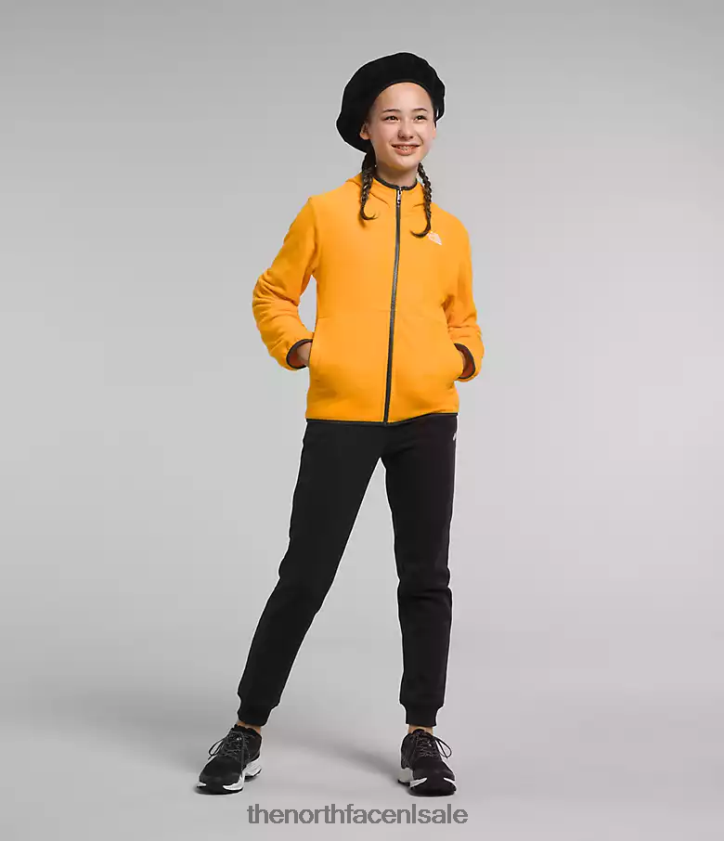 kinderen Gletsjerjack met capuchon en volledige ritssluiting The North Face P464ZN948 kleding top goud
