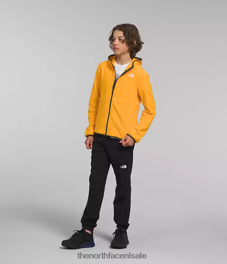 kinderen Gletsjerjack met capuchon en volledige ritssluiting The North Face P464ZN948 kleding top goud