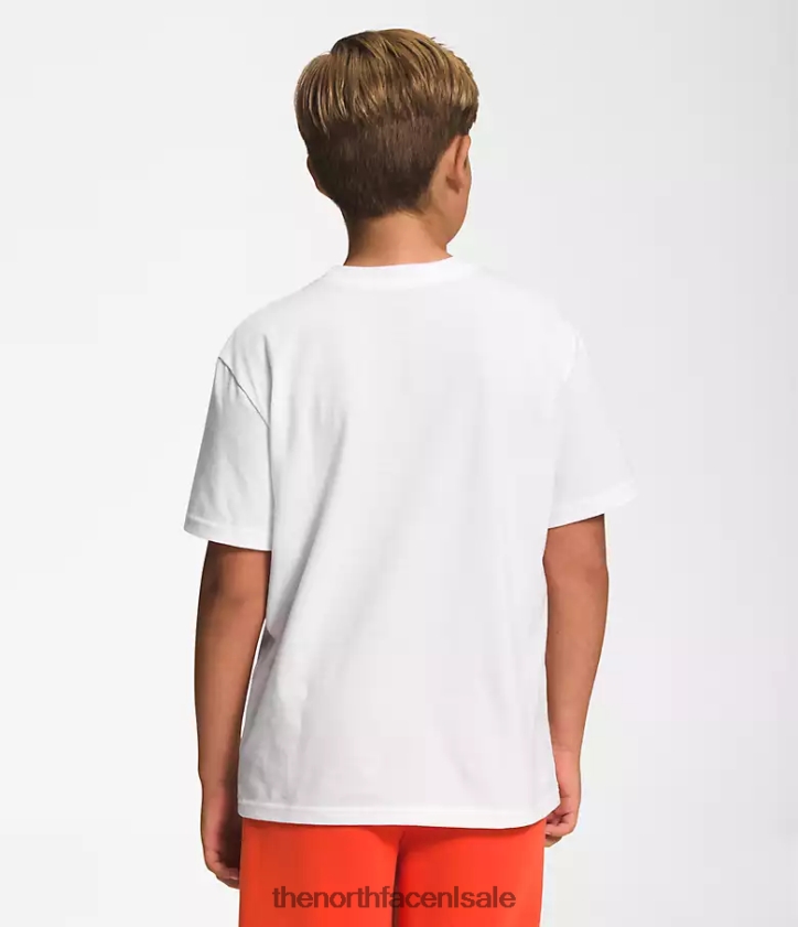 kinderen Grafisch T-shirt met korte mouwen The North Face P464ZN1058 kleding tnf wit/top goud