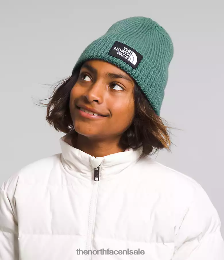 kinderen Muts met tnf box-logo en manchetten The North Face P464ZN763 accessoire donkere salie