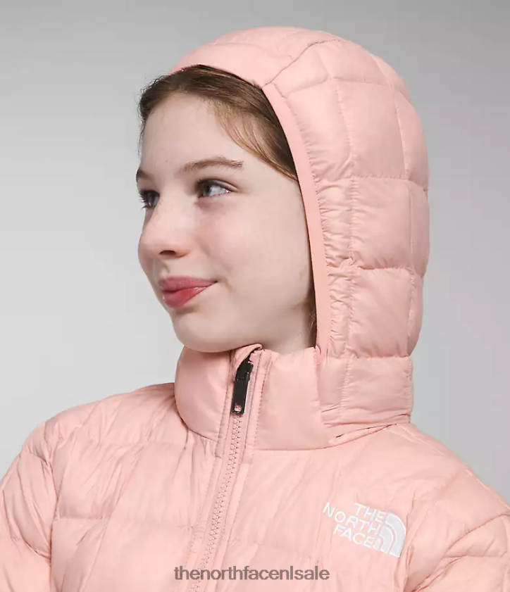 kinderen Thermoball-jack met capuchon The North Face P464ZN180 kleding roze mos