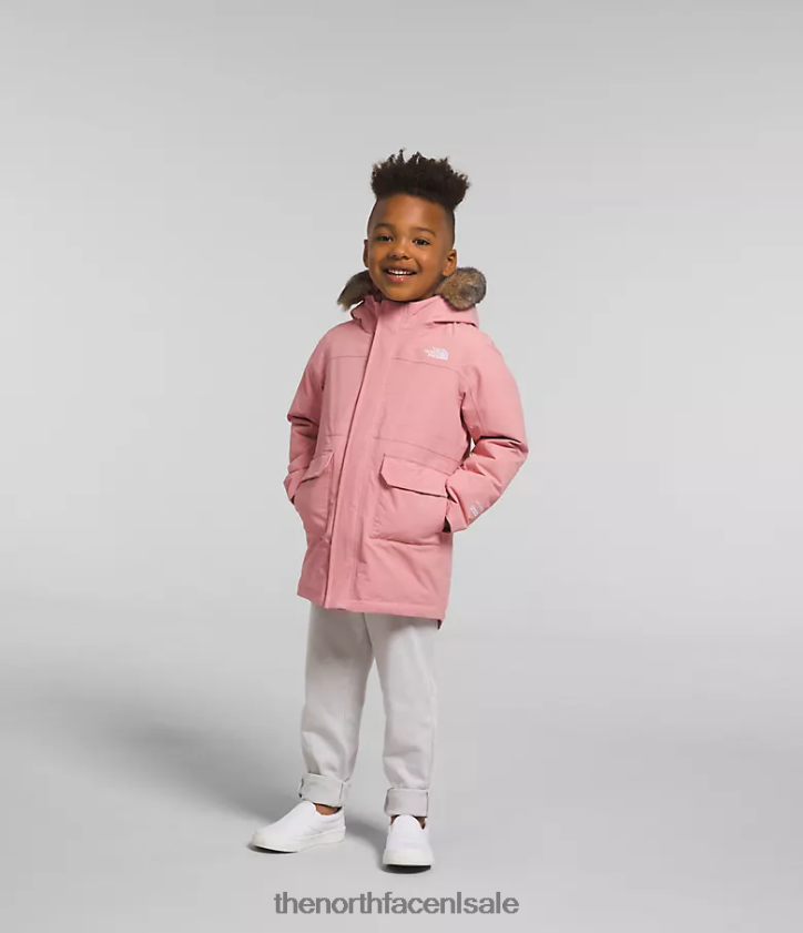 kinderen arctische parka The North Face P464ZN1154 kleding schaduwrijke roos