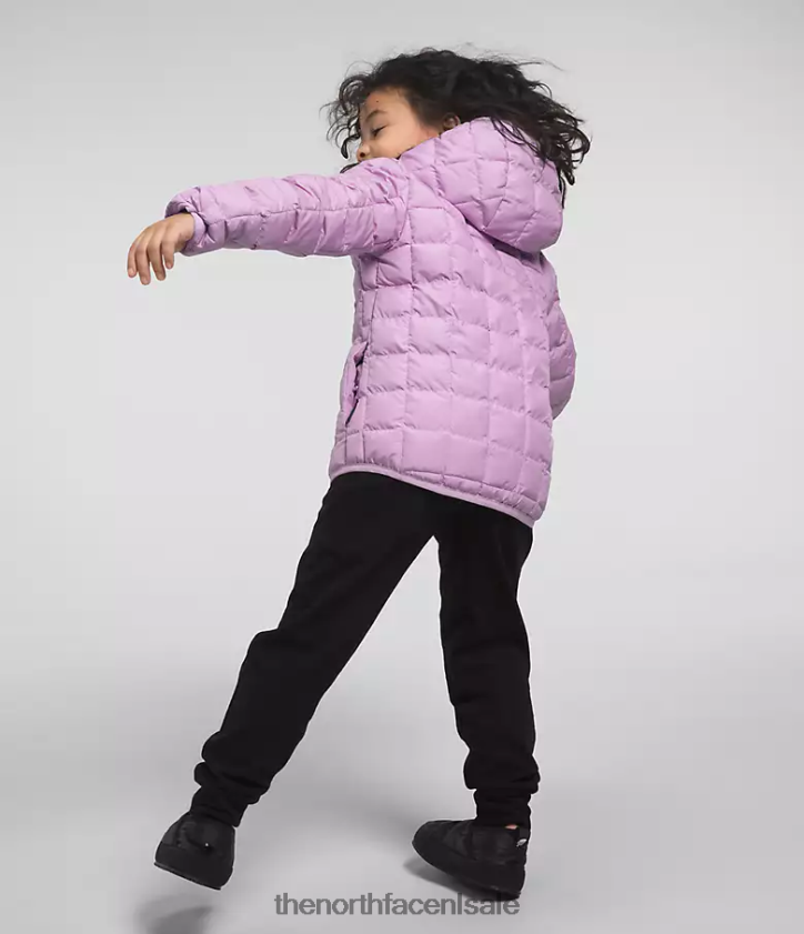 kinderen omkeerbaar thermoballjack met capuchon The North Face P464ZN1240 kleding wolvin