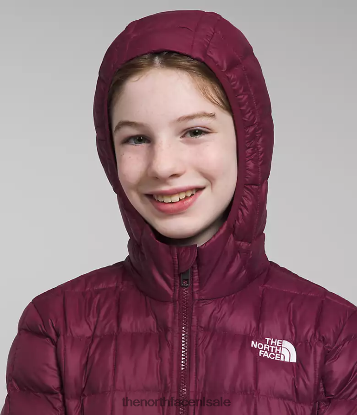 kinderen thermoball parka The North Face P464ZN459 kleding jongensbes