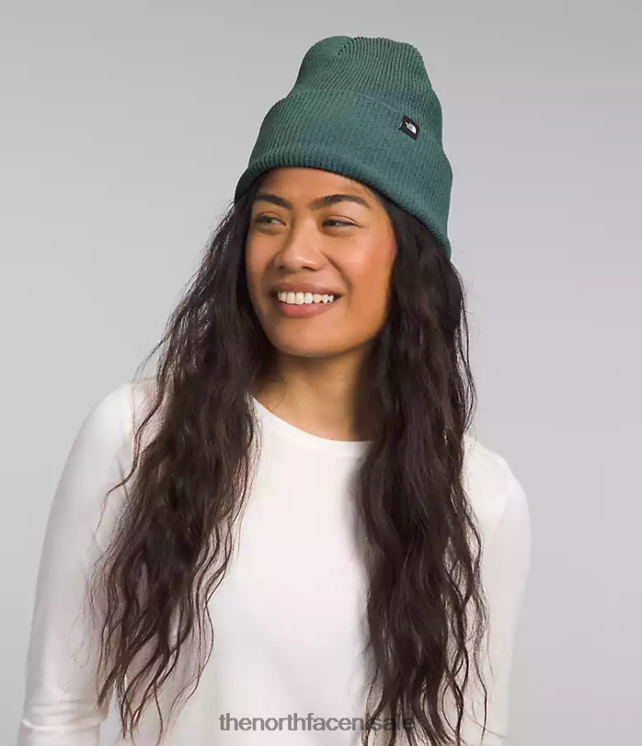 unisex Stedelijke muts met manchetten The North Face P464ZN561 accessoire donkere salie