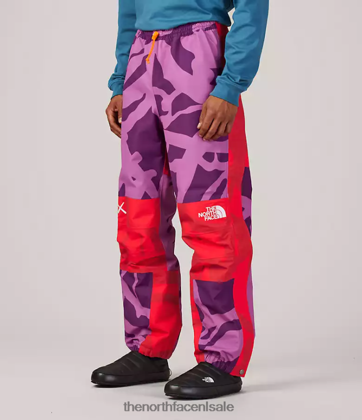 unisex Tnf x Kaws berg lichte broek The North Face P464ZN607 kleding kw pamplona paarse mtn lichte print