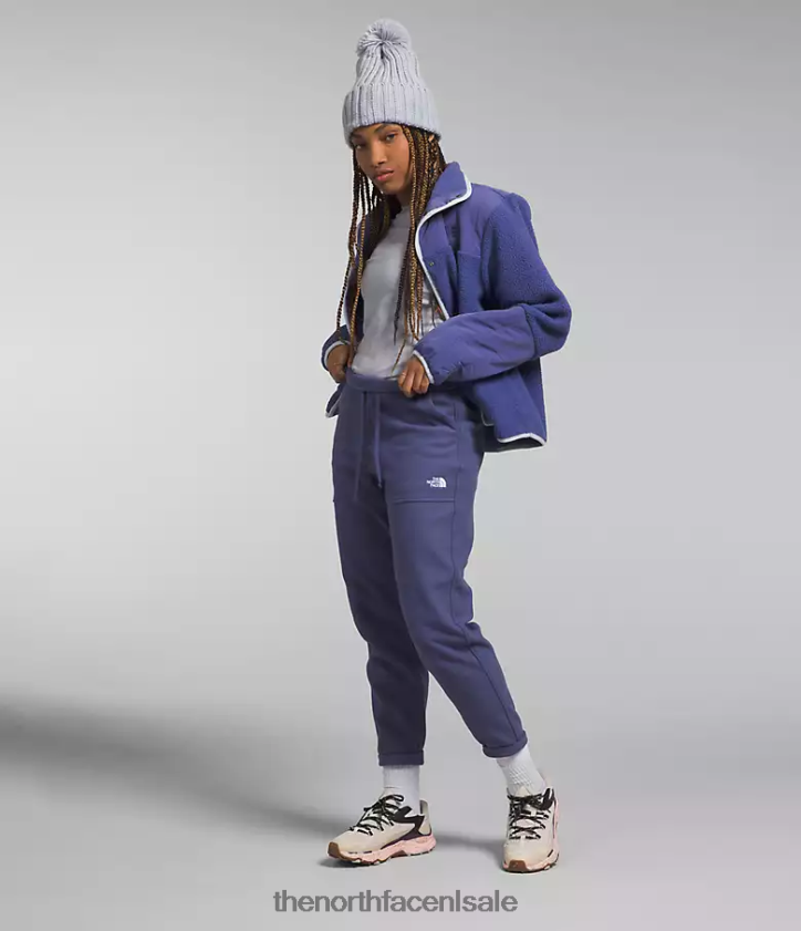 vrouwen Alpine polartec 100 broek The North Face P464ZN845 kleding grot blauw