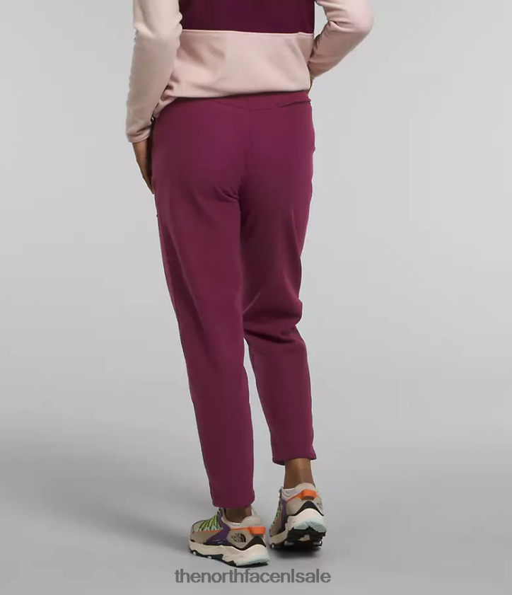 vrouwen Alpine polartec 100 broek The North Face P464ZN846 kleding jongensbes