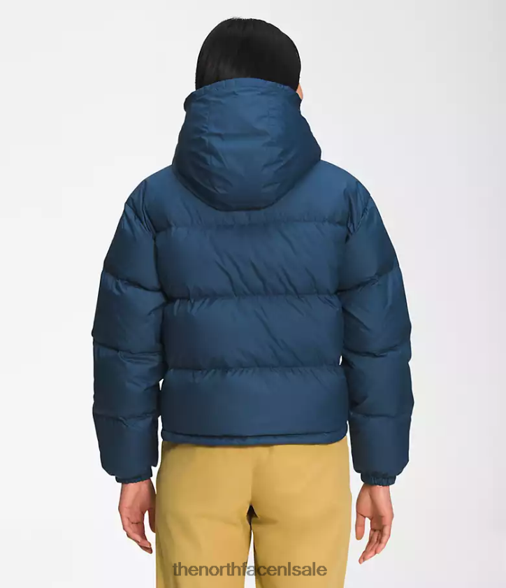 vrouwen Kort donsjack 71 sierra The North Face P464ZN237 kleding schaduwrijk blauw