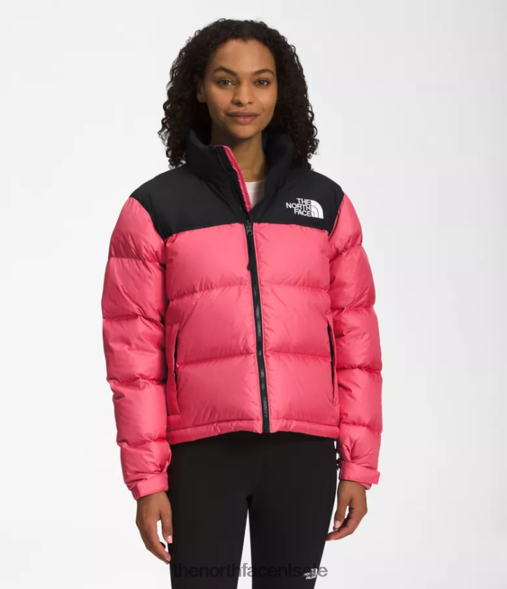 vrouwen Retro nuptse jasje uit 1996 The North Face P464ZN729 kleding kosmo roze