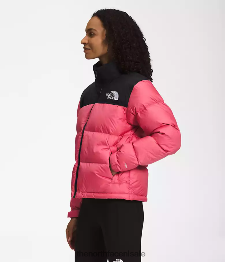 vrouwen Retro nuptse jasje uit 1996 The North Face P464ZN729 kleding kosmo roze